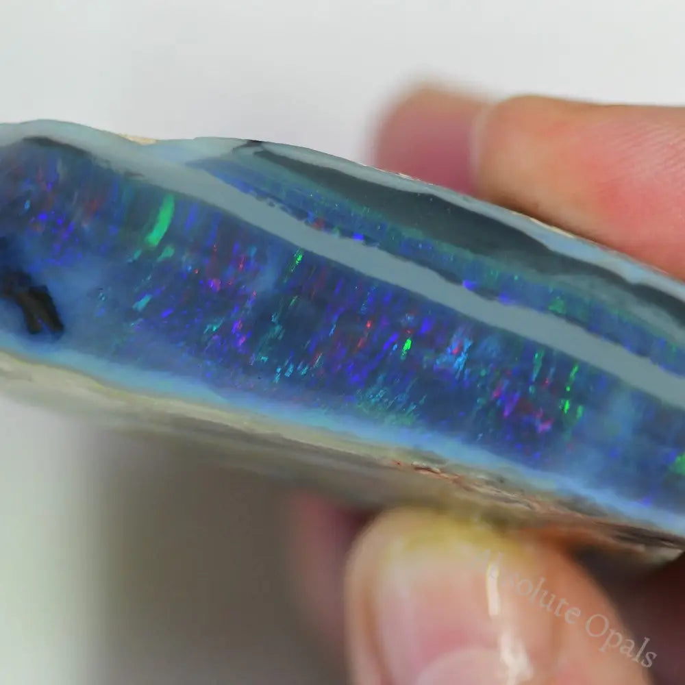 Lightning Ridge Rough Opals 329 cts Australian Rough Black Opal Lightning Ridge - Absolute Opals & Gems