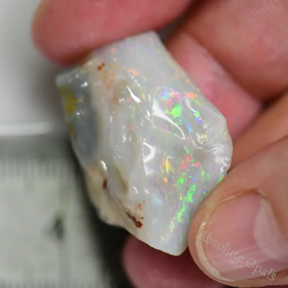 Lightning Ridge Rough 33.7 cts Australian Rough Opal Lightning Ridge - Absolute Opals & Gems