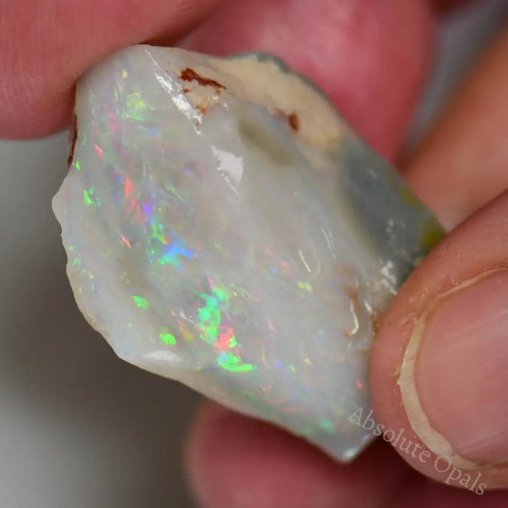 Lightning Ridge Rough Opals Explore Our Rough Opal Collection Page 4 - Absolute Opals & Gems