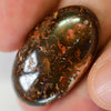 35.90 Cts Australian Boulder Opal Cut Stone