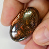 35.90 Cts Australian Boulder Opal Cut Stone