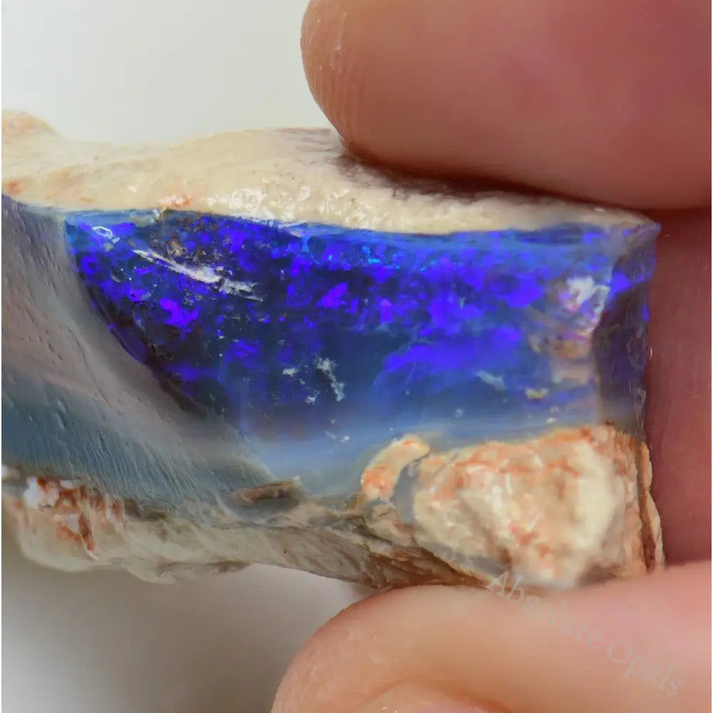Lightning Ridge Rough Opals 36 cts Australian Rough Opal Lightning Ridge - Absolute Opals & Gems