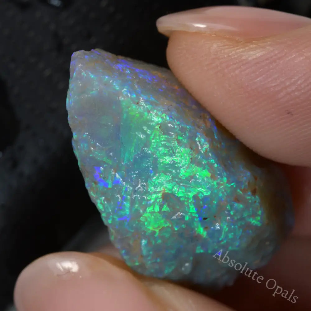 cts Australian Rough Opal Lightning Ridge -Mussel Absolute