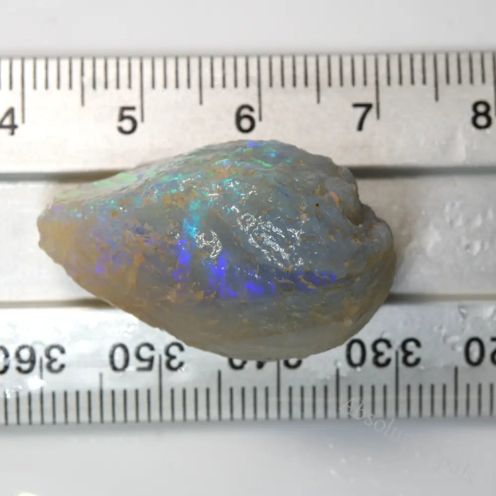 Lightning Ridge Rough 37.7 cts Australian Rough Opal Lightning Ridge -Mussel - Absolute Opals ...