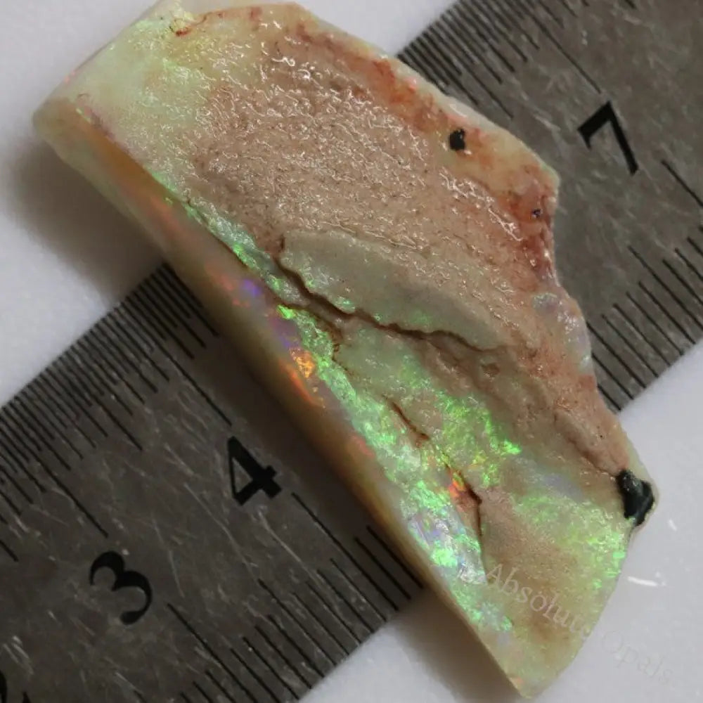 37.85 Cts Australian Semi-Black Opal Rough Lightning Ridge Gem Stone