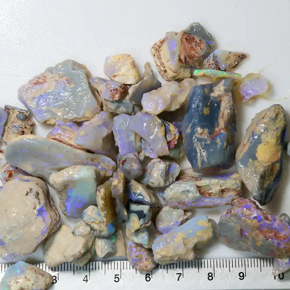 377 cts Rough Opal Lightning Ridge -Fossils Rough Opal