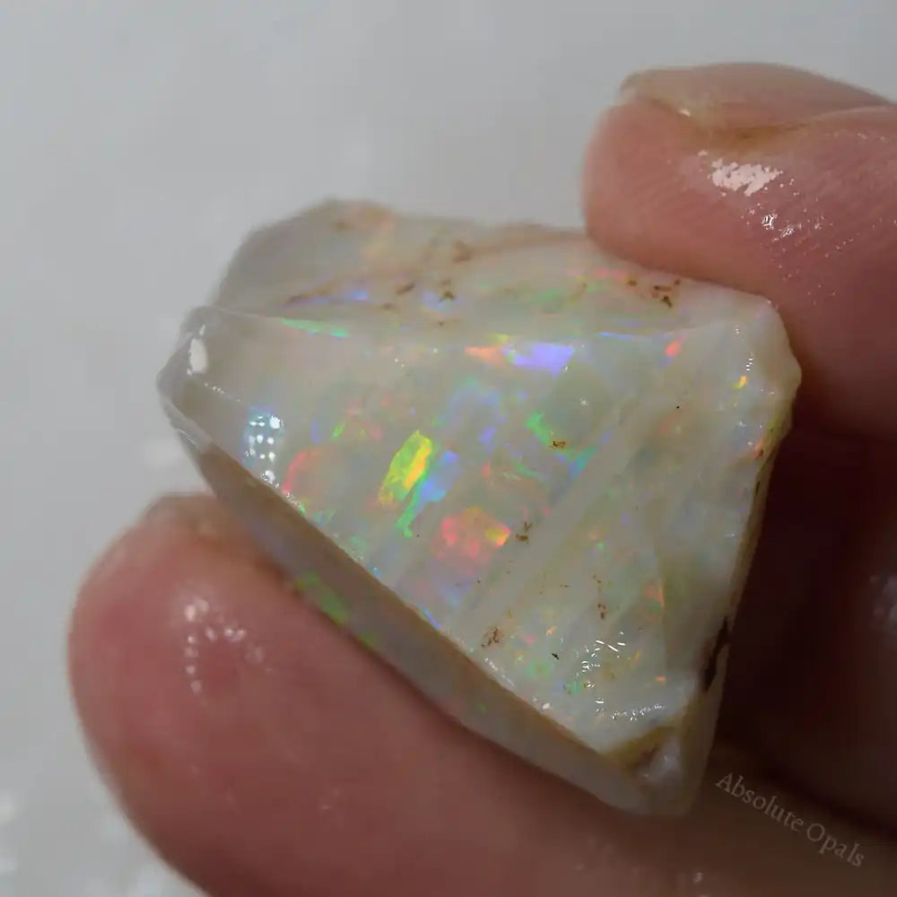 Lightning Ridge Rough Opals 39.6 cts Rough Opal from Lightning Ridge, Australia - Absolute Opals & Gems