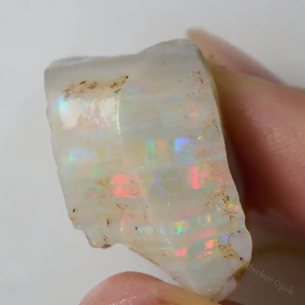 Lightning Ridge Rough 39.6 cts Rough Opal from Lightning Ridge, Australia - Absolute Opals & Gems