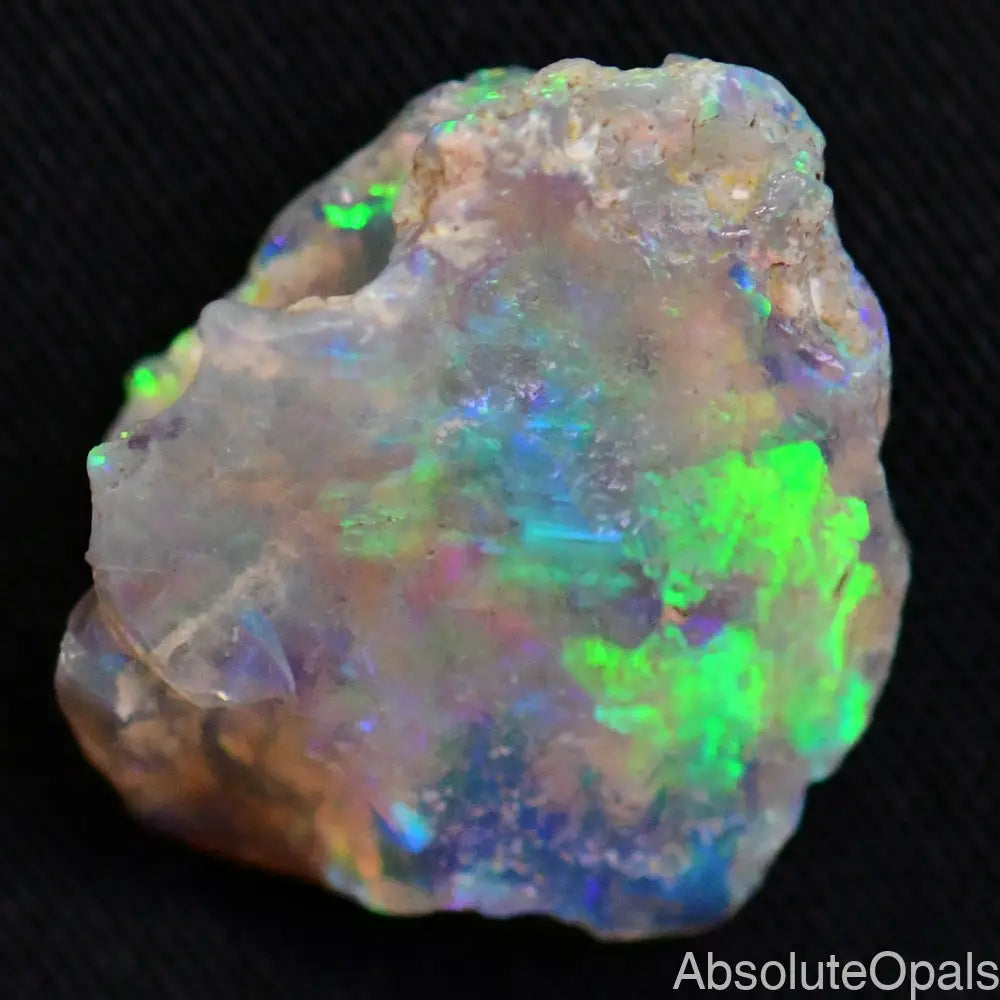 Australian Opal Rough, Lightning Ridge Wood Fossil, Polished Specimen