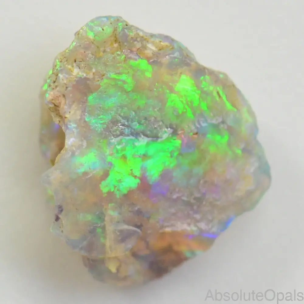 Spécimen D'Opale Fossile Australienne CP Multicolore - 6.5 Tcw (15x14 Mm) - Brut