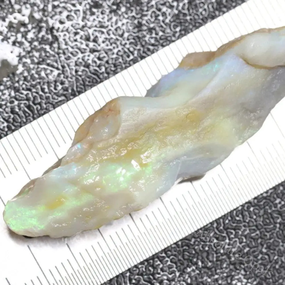 40.25 Cts Australian Lightning Ridge Opal Rough For Carving