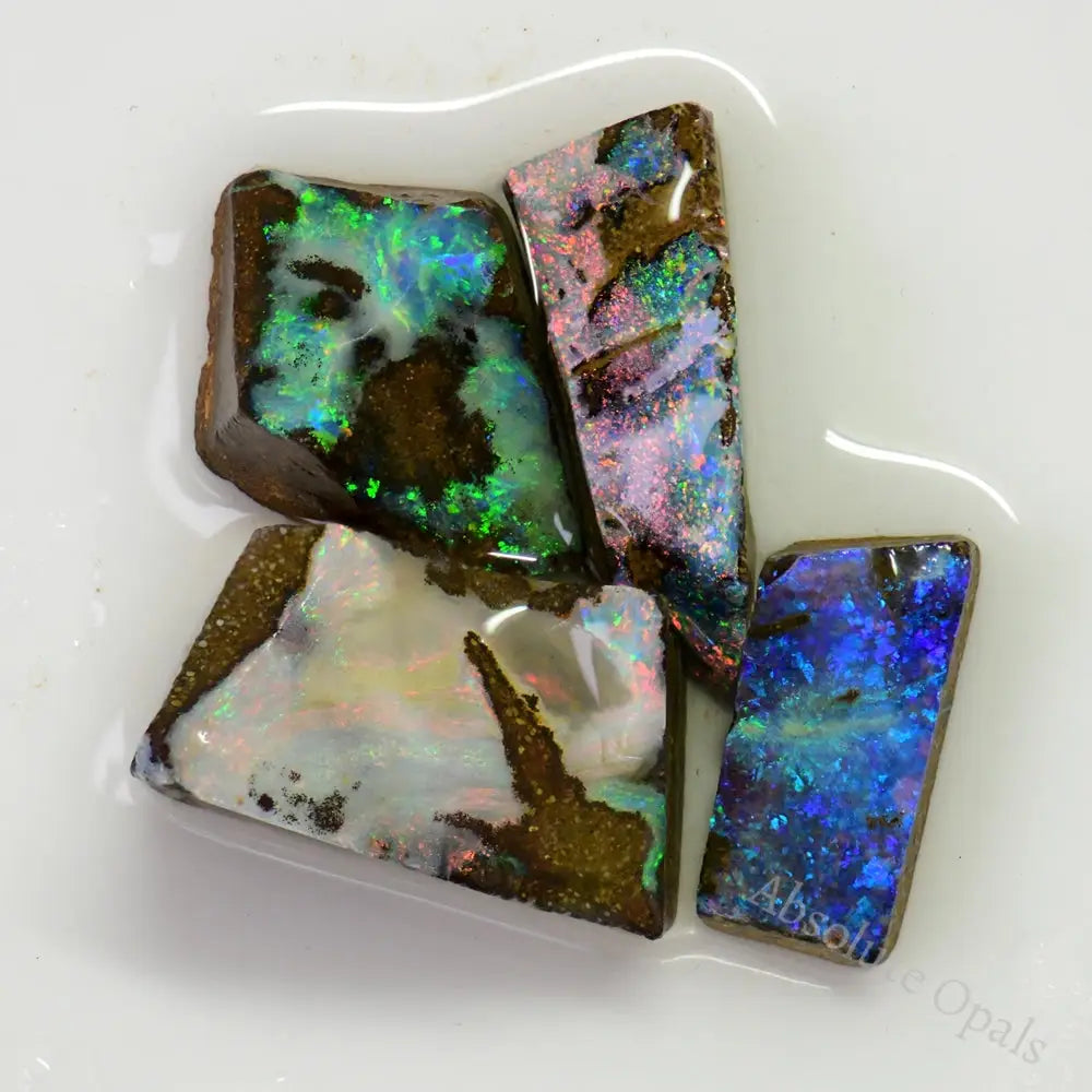 Boulder Opal Rough Absolute Opals Gems