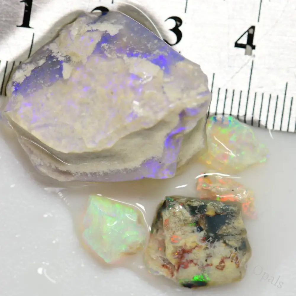 41.75 Cts Australian Rough Opal Parcel Fossils Lightning Ridge