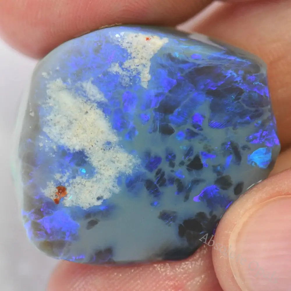 Lightning Ridge Rough 41.8 cts Australian Rough Opal, Lightning Ridge CMR - Absolute Opals & Gems