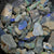 rough opal