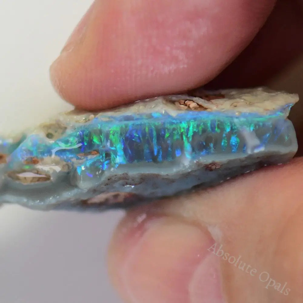 Lightning Ridge Rough Opals 44.8 cts Australian Rough Opal Lightning Ridge - Absolute Opals & Gems