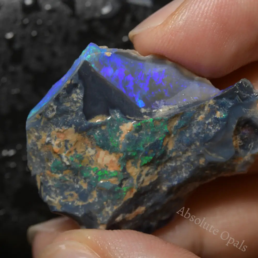 Lightning Ridge Rough Opals 44 cts Black Rough Opal Lightning Ridge - Absolute Opals & Gems