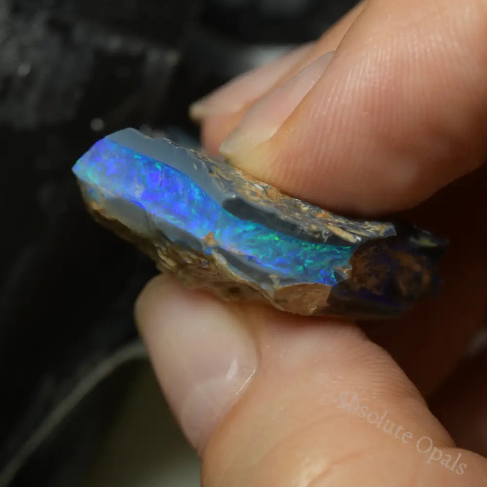 Lightning Ridge Rough Opals 44 cts Black Rough Opal Lightning Ridge - Absolute Opals & Gems