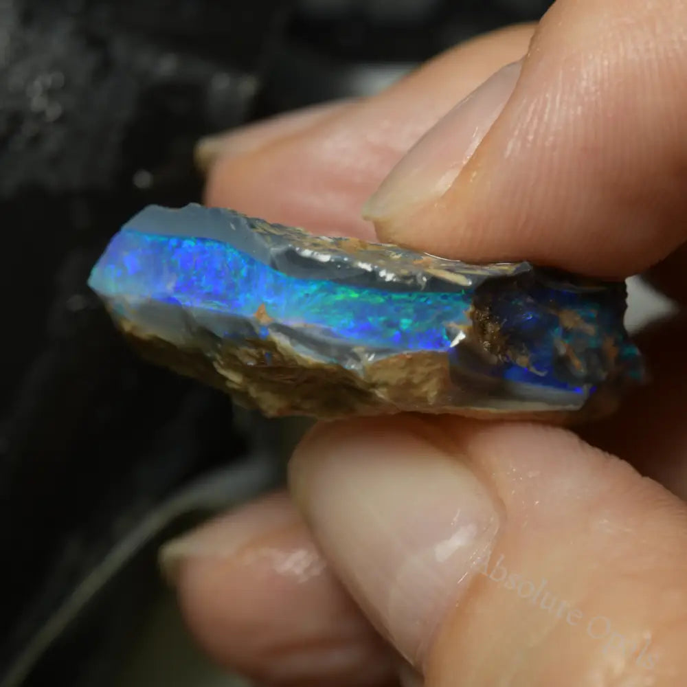 Lightning Ridge Rough Opals 44 cts Black Rough Opal Lightning Ridge - Absolute Opals & Gems