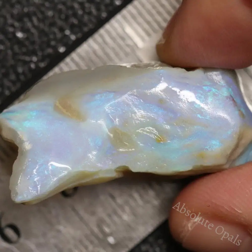 46.25 Cts Australian Lightning Ridge Opal Rough For Carving