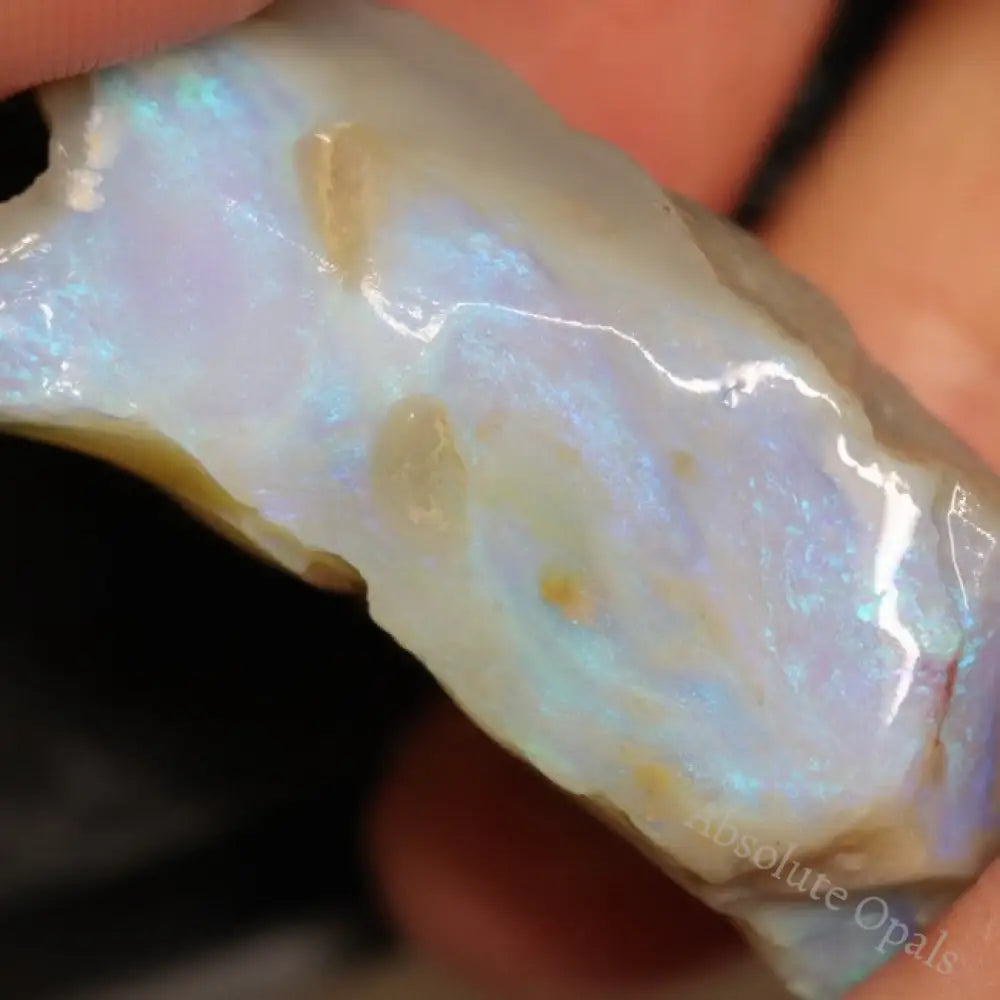 46.25 Cts Australian Lightning Ridge Opal Rough For Carving