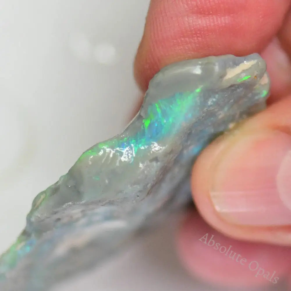 Lightning Ridge Rough Opals 51 cts Australian Rough Opal Lightning Ridge - Absolute Opals & Gems