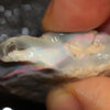 52.65 Cts Australian Lightning Ridge Opal Rough For Carving