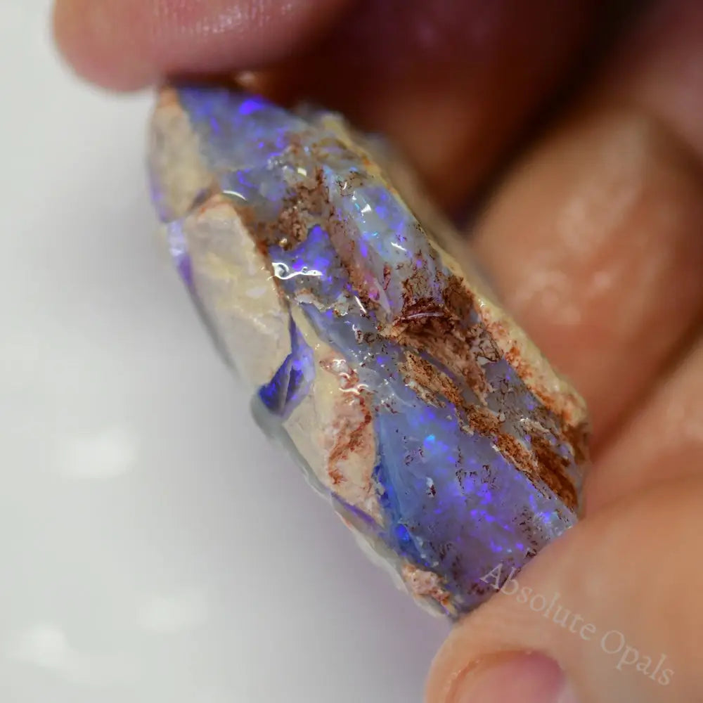 Lightning Ridge Rough Opals 52.9 cts Australian Rough Opal Lightning Ridge - Absolute Opals & Gems