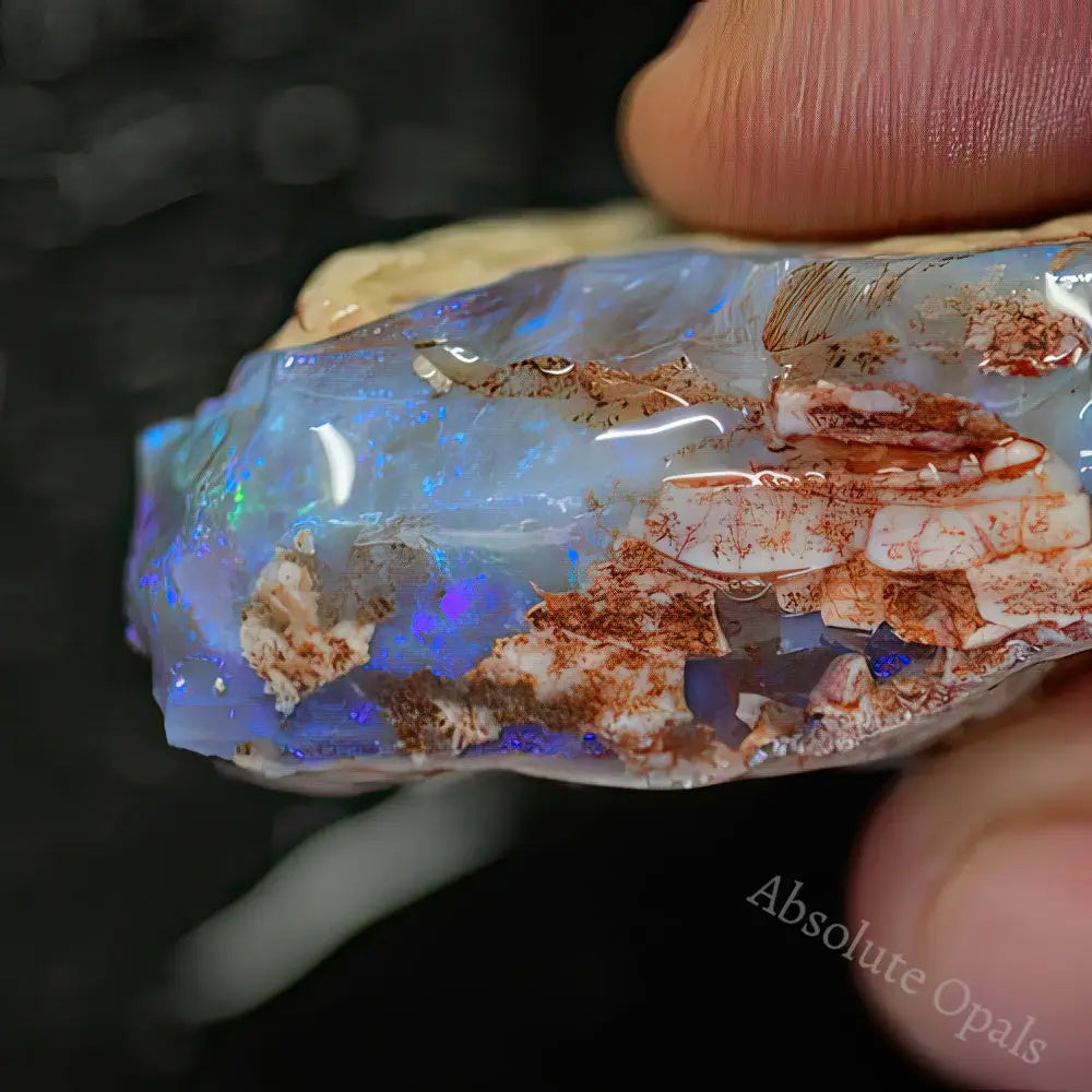 Lightning Ridge Rough Opals 52.9 cts Australian Rough Opal Lightning Ridge - Absolute Opals & Gems