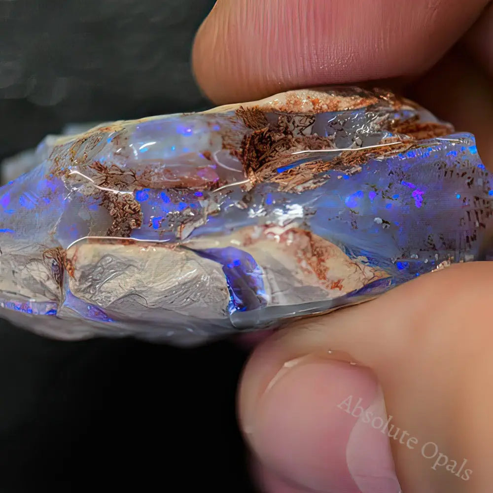 Lightning Ridge Rough Opals 52.9 cts Australian Rough Opal Lightning Ridge - Absolute Opals & Gems