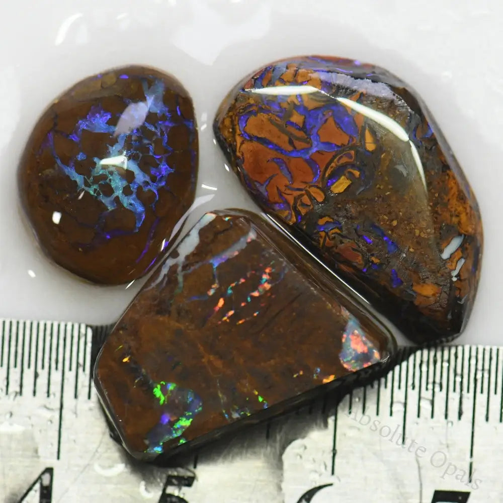 53.0 Cts Australian Boulder Opal Rough Parcel