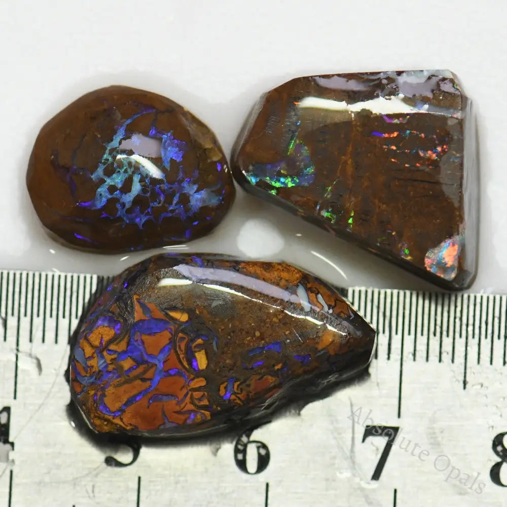 53.0 Cts Australian Boulder Opal Rough Parcel