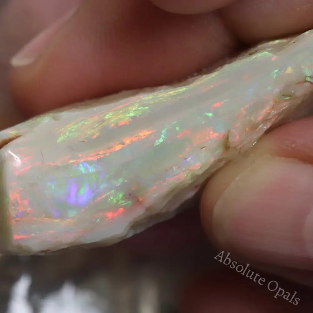 53.1 Cts Australian Semi-Black Opal Rough Lightning Ridge Gem Stone