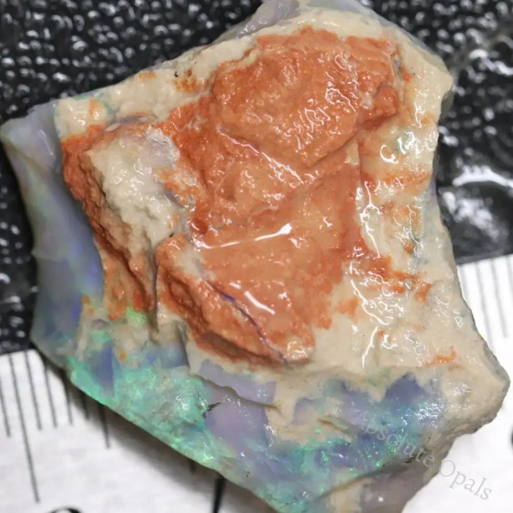 54.75 Cts Australian Lightning Ridge Opal Rough For Carving