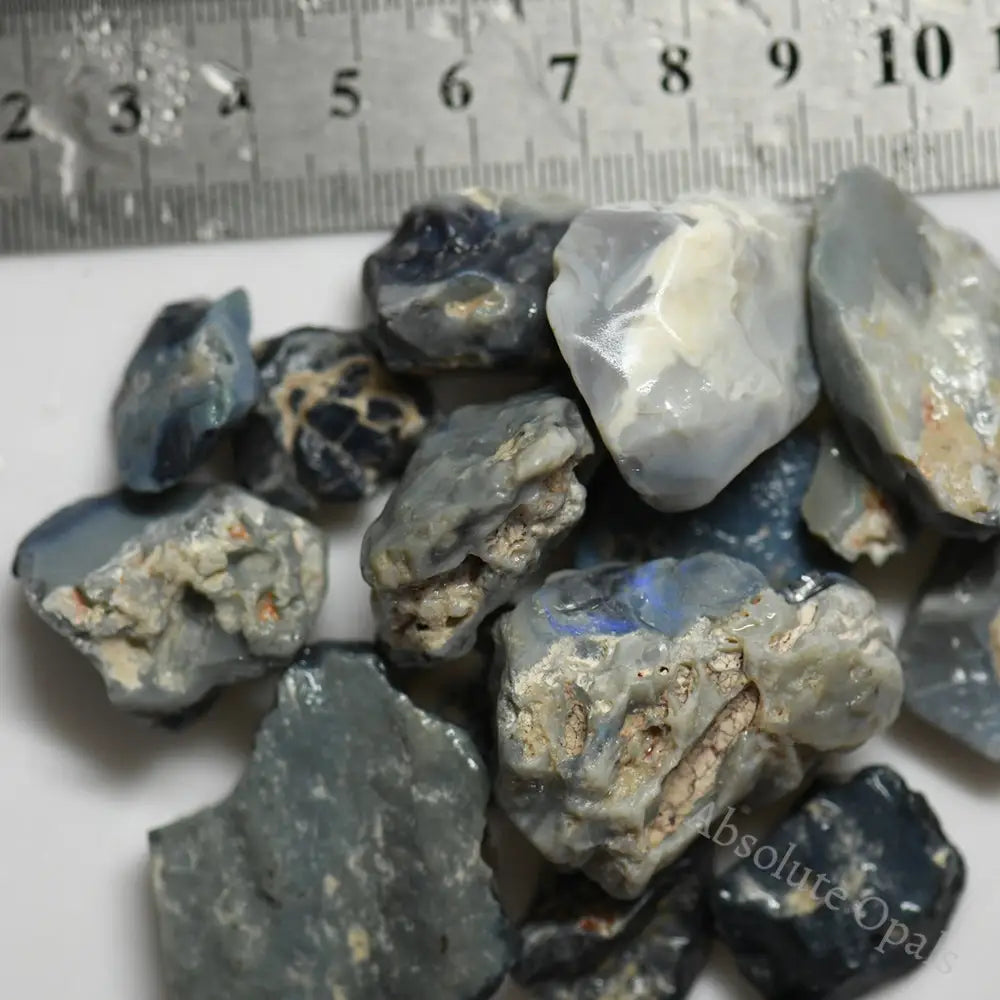 545 Cts 109 G Potch Opal Rough Parcel L/ Ridge Beginner