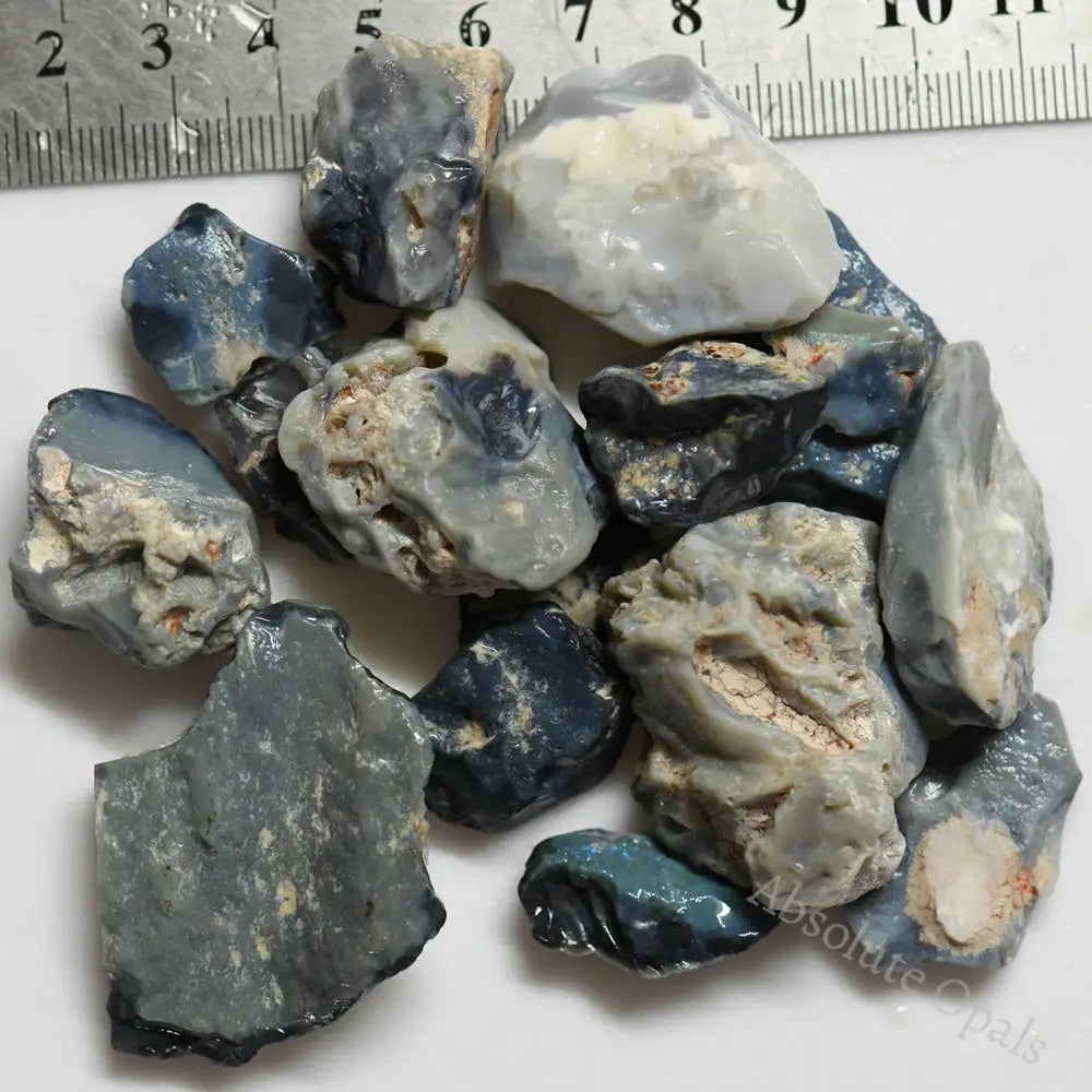 545 Cts 109 G Potch Opal Rough Parcel L/ Ridge Beginner