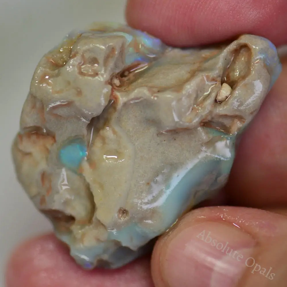 55.15 Cts Australian Opal Rough Lightning Ridge For Carving