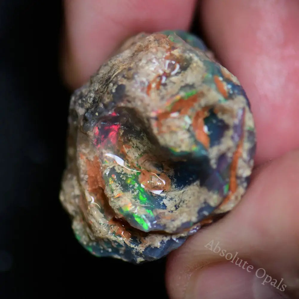 Australian Ridge 58.6 cts Australian Opal Rough, Lightning Ridge Fossil Branch Wood ...