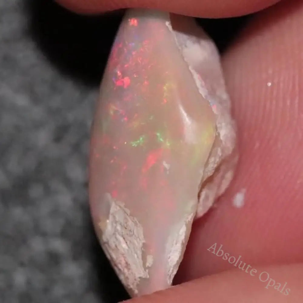 6.0 Cts Australian Opal Rough Lightning Ridge Wood Fossil Polished Specimen
