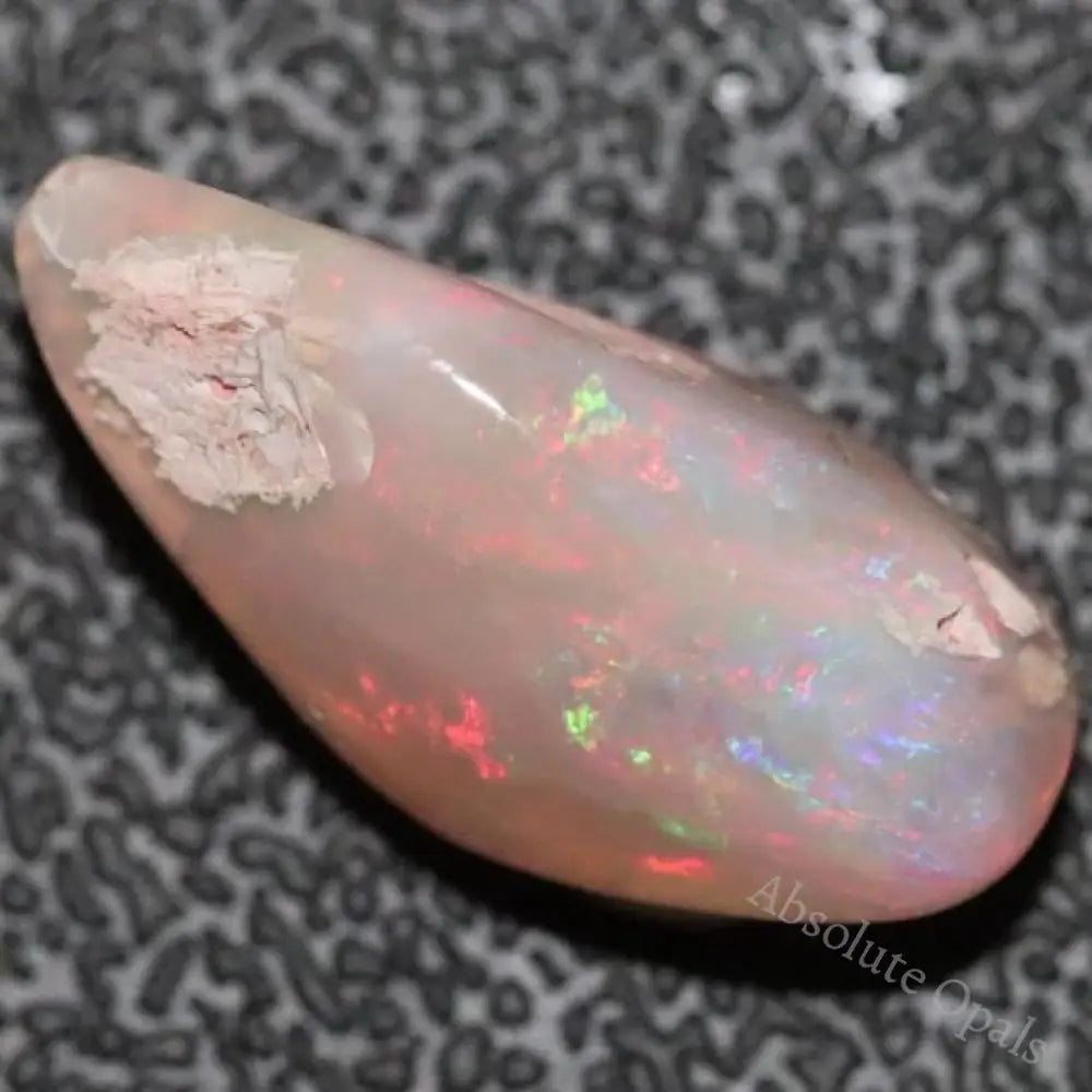 6.0 Cts Australian Opal Rough Lightning Ridge Wood Fossil Polished Specimen