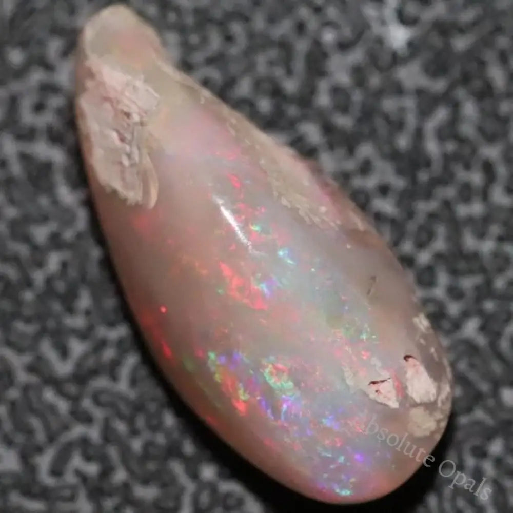 6.0 Cts Australian Opal Rough Lightning Ridge Wood Fossil Polished Specimen