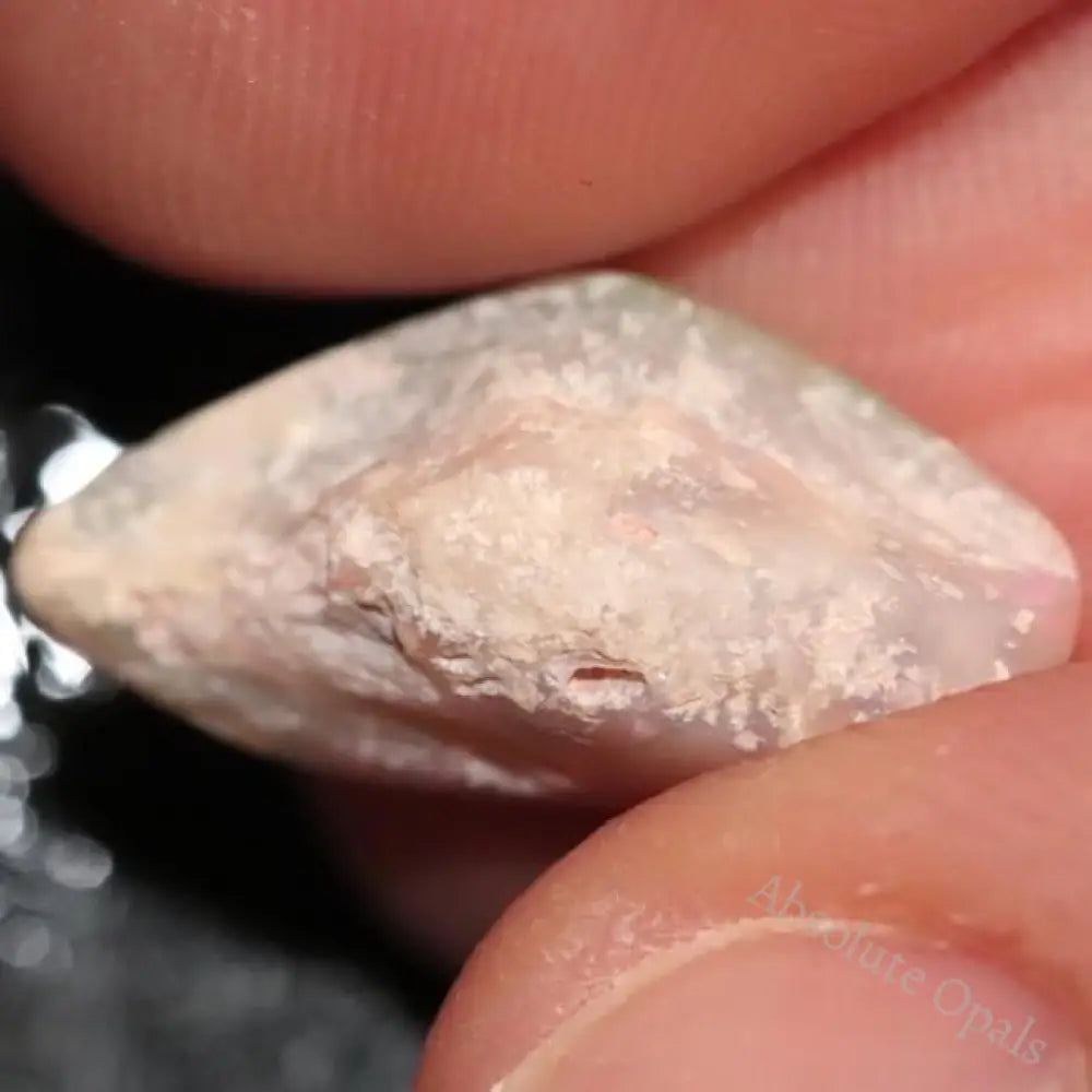 6.0 Cts Australian Opal Rough Lightning Ridge Wood Fossil Polished Specimen