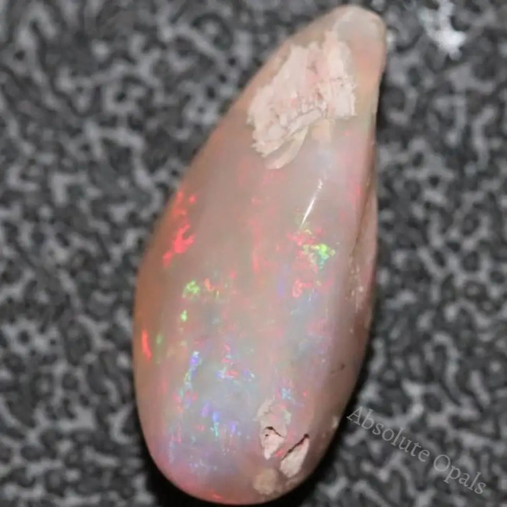 6.0 Cts Australian Opal Rough Lightning Ridge Wood Fossil Polished Specimen