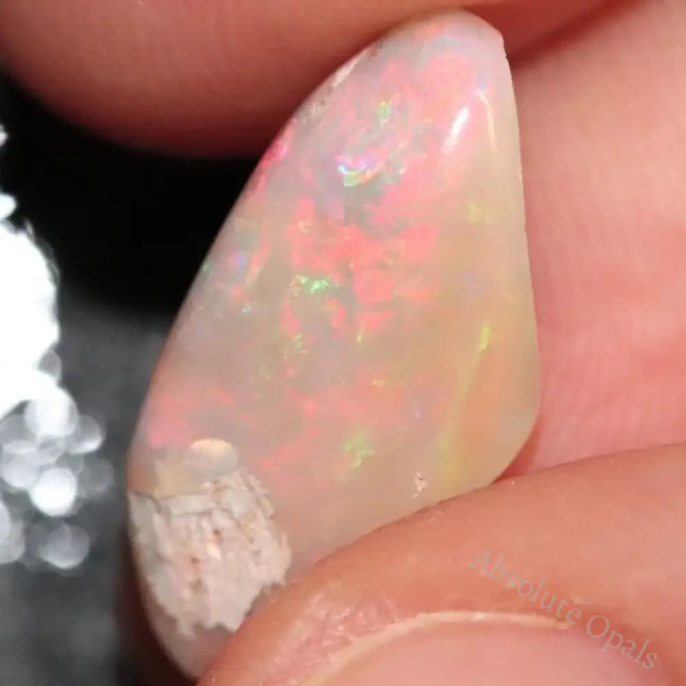 6.0 Cts Australian Opal Rough Lightning Ridge Wood Fossil Polished Specimen