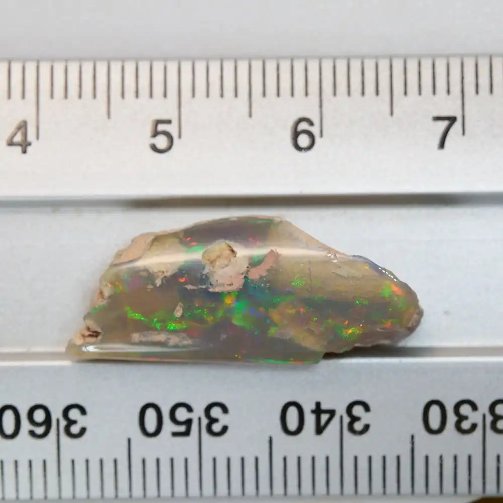 6.95 cts Rough Opal Lightning Ridge Polished Specimen Plant Fossil Opal Specimen