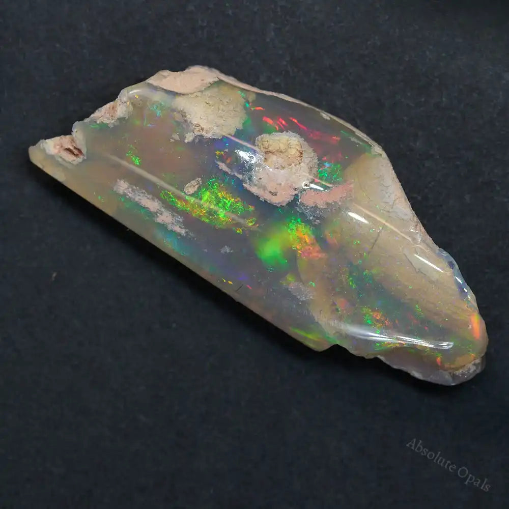 opal fossil
