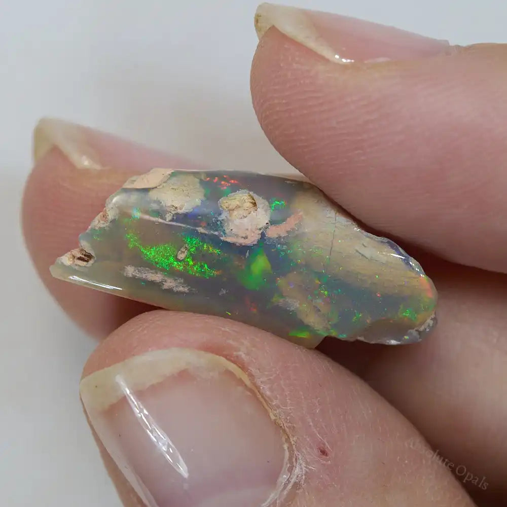 6.95 cts Rough Opal Lightning Ridge Polished Specimen Plant Fossil Opal Specimen