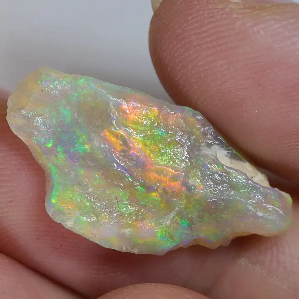 7.04 cts Rough Opal Lightning Ridge Polished Specimen Plant Fossil Opal Specimen