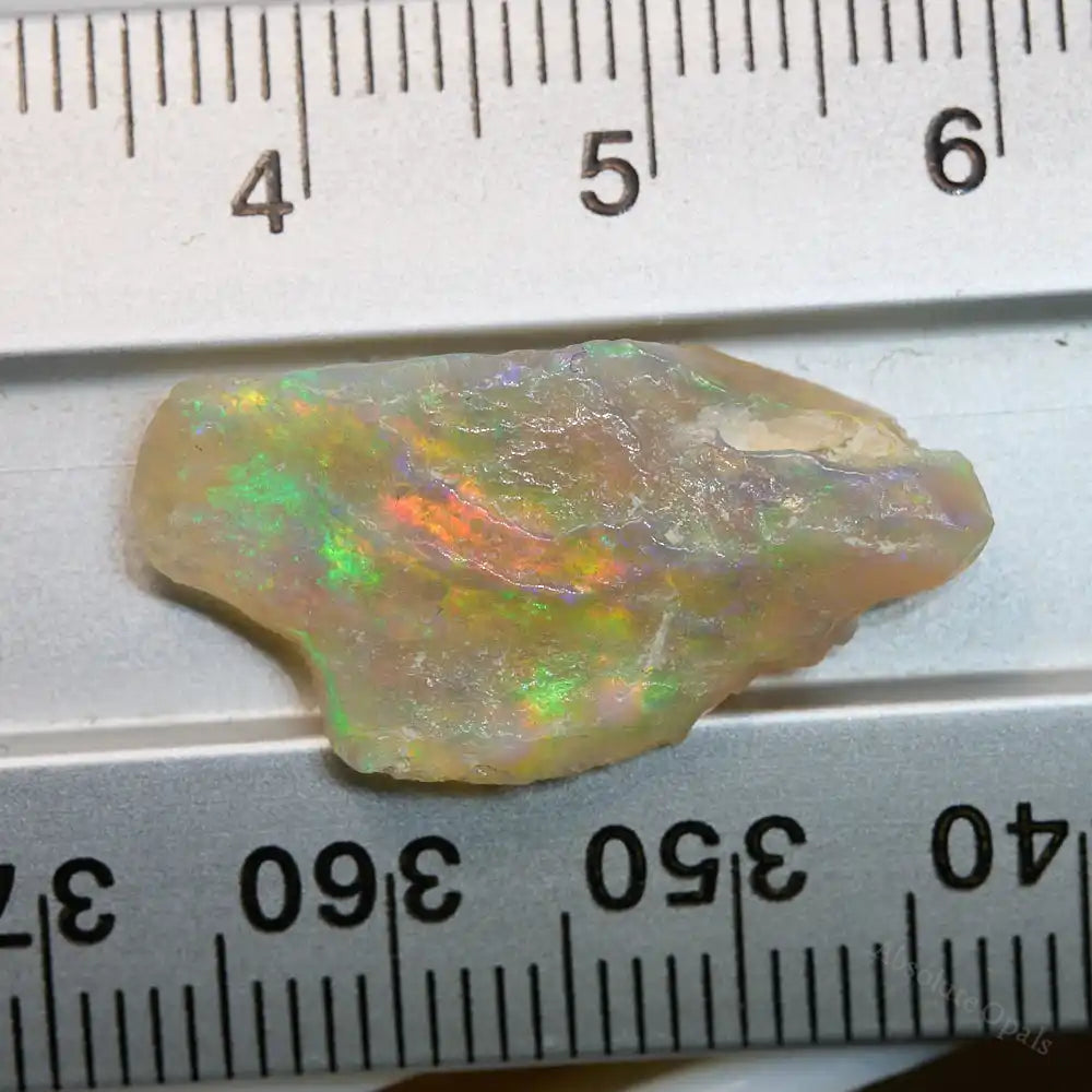 fossil opal