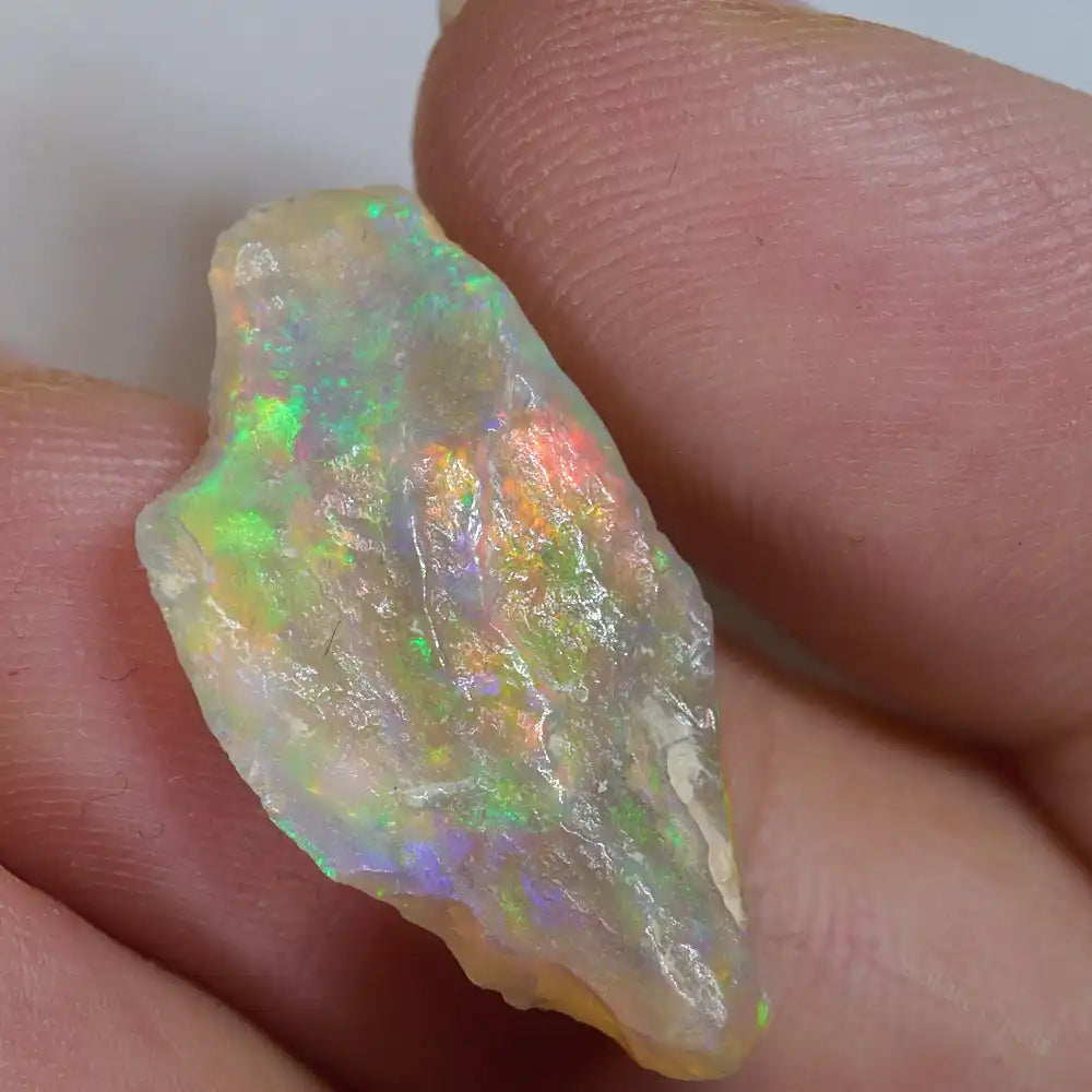 7.04 cts Rough Opal Lightning Ridge Polished Specimen Plant Fossil Opal Specimen